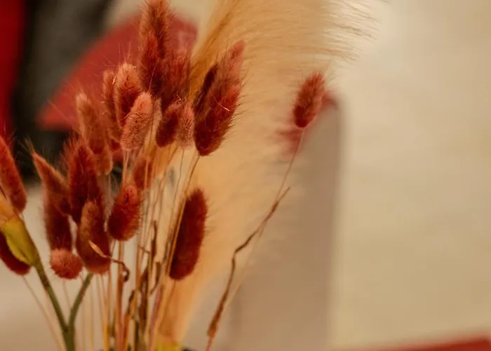 Ismini Basement Retreat شقة Vlicha (Rhodes)